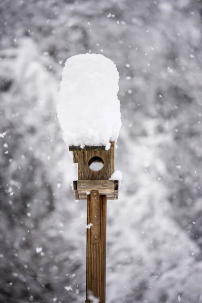 Alimentador de pássaros de madeira com uma tampa alta de neve em pé em um inverno — Fotografia de Stock