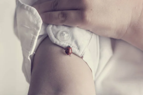 Child in white shirt playing with a red ladybug — Stock Photo, Image