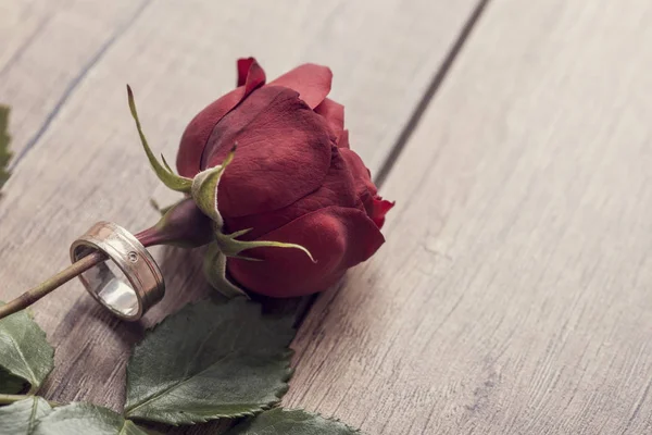 Vista dall'alto di una singola rosa rossa con anello di matrimonio o fidanzamento — Foto Stock