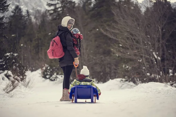 Mutter zieht ihr Kind auf Schlitten durch den Winterschnee — Stockfoto