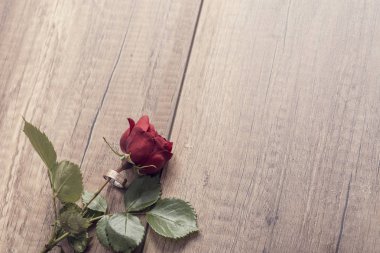 Retro tarzı görüntü ile nişan yüzüğü etrafında kırmızı bir gül