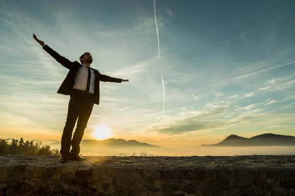 Businessman in elegant suit standing on a wall with his arms spr — Stock Photo, Image