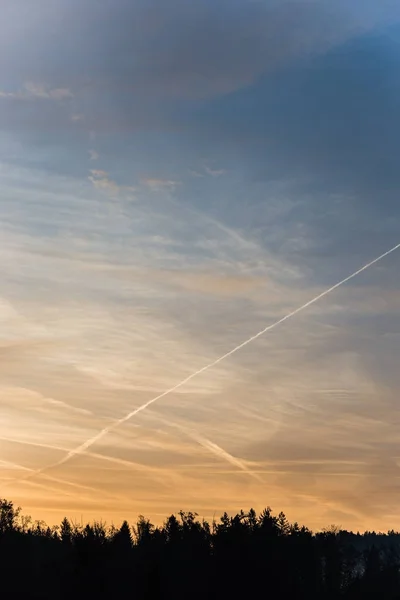 Renkli sabah gökyüzünde contrails kontrast orman — Stok fotoğraf