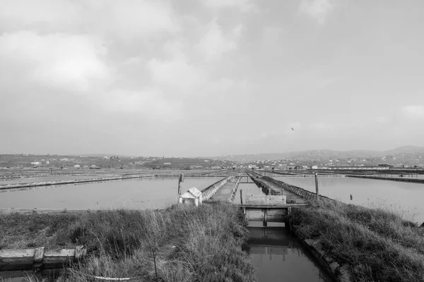 Immagine in scala di grigi del Parco Naturale delle Saline di Secovlje — Foto Stock