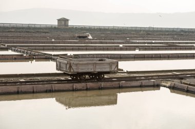 Secovlje Africanâ Tabiat Parkı içinde taşıma arabası