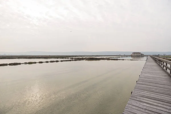 Secovlje Salt Pans — Stock fotografie