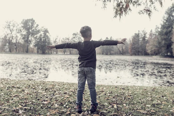 Anak kecil menikmati cuaca musim gugur berdiri dengan hamparan — Stok Foto