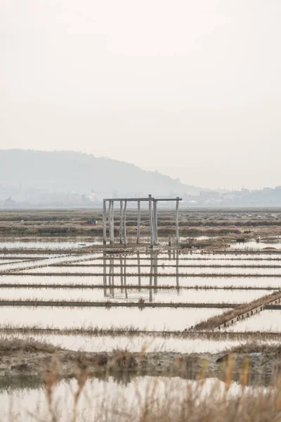 Elhagyott régi Secovlje Saltpans természeti park — Stock Fotó