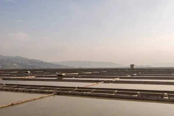 Secovlje salina parque natural — Fotografia de Stock