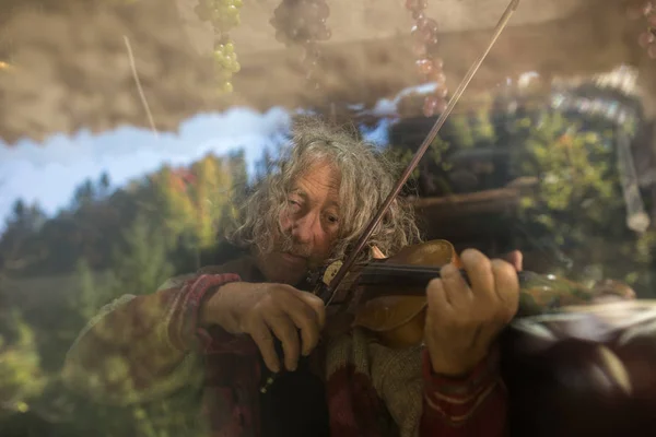 Viejo con el pelo largo tocando el violín — Foto de Stock