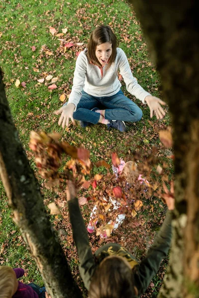 彼女の小さな子供たちと遊んで幸せな母の空撮 — ストック写真