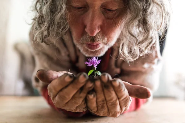 Anciano barbudo sosteniendo una flor en sus manos — Foto de Stock