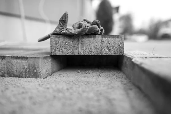 Immagine in scala di grigi di protezione di guanti su un mattone di pavimentazione — Foto Stock