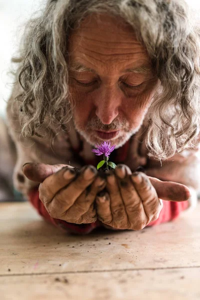 暗闇の恥丘に紫色の可憐な春の花を保持している老人 — ストック写真