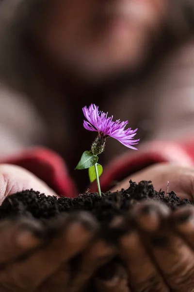 Uomo in possesso di un fiore viola primavera — Foto Stock