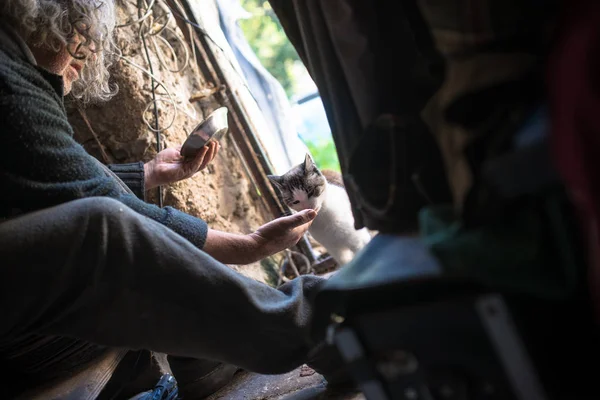 Viejo con pelo largo alimentando gato a mano — Foto de Stock