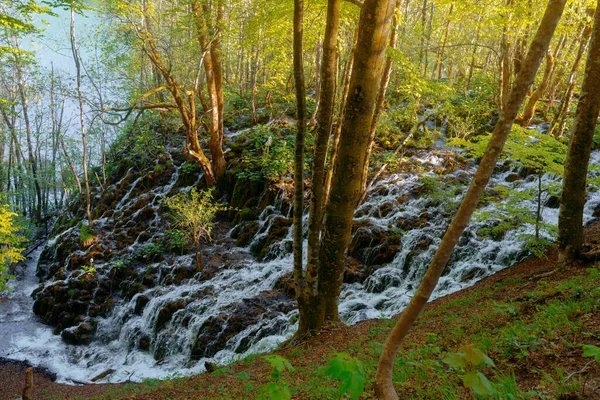 Plitvicka Lakes Croatian National Park Beautiful Nature Water Flowing Mossy — Stock Photo, Image