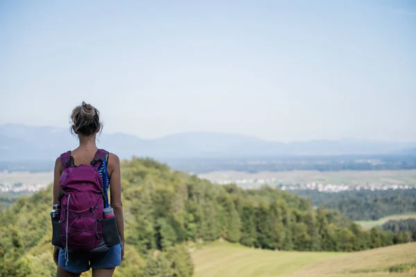 View Female Hiker Backpack Looking Beautiful View — Stock Photo, Image