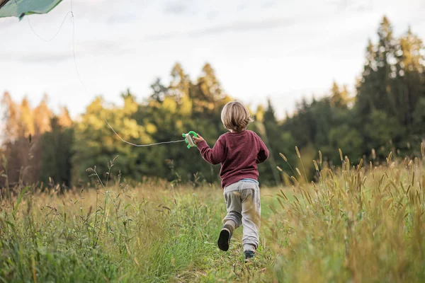 Pohled Zezadu Malý Chlapec Běží Přes Krásné Podzimní Louky Létání — Stock fotografie