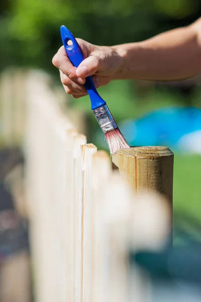 Closeup Female Hand Applying Transparent Protective Varnish Wooden Fence Back — Stock Photo, Image
