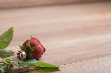 Ahşap yüzeyde duran güzel kırmızı gül sapında evlilik ya da nişan yüzüğü. Bir sürü kopya alanı var.