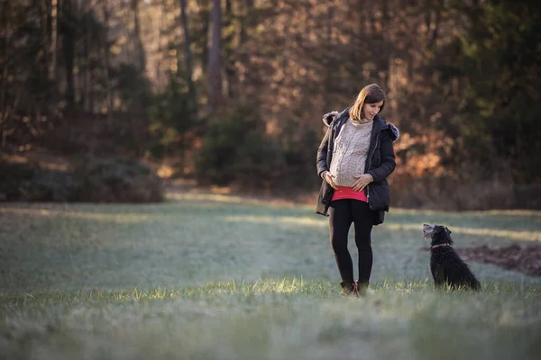 妊娠中の若い女性は美しい牧草地の外に立っています秋の森の端に彼女の黒い犬と一緒に彼女を見てフル注意と愛情 — ストック写真