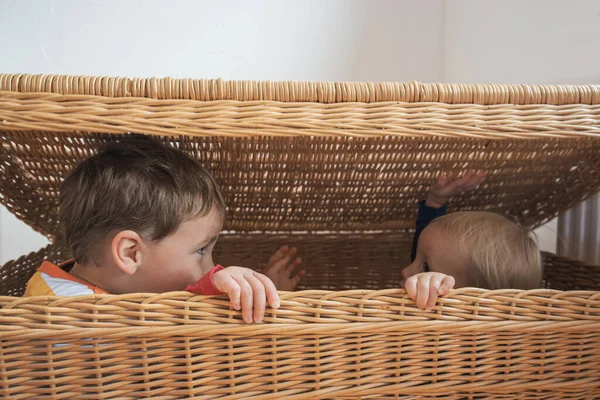 两个兄弟躲藏在编织的篮子里玩耍的场景 — 图库照片