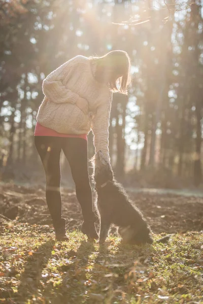 妊娠中の女性は日光の秋の森の中に立ちますダウンに達するにペット彼女の黒犬忠実に彼女を見て — ストック写真