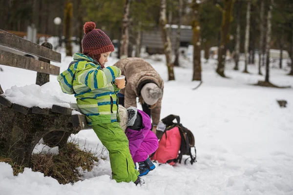 Mutter Mit Zwei Kleinkindern Freien Einer Verschneiten Landschaft Während Eines — Stockfoto