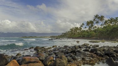 Kıyıdaki büyük yuvarlak taşlar okyanusun mavi dalgalarıyla yıkanır. Tüm kıyı şeridi palmiye ağaçlarıyla kaplı..