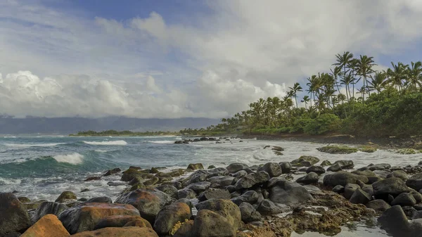 Kıyıdaki büyük yuvarlak taşlar okyanusun mavi dalgalarıyla yıkanır. Tüm kıyı şeridi palmiye ağaçlarıyla kaplı..
