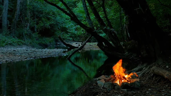 Hoguera Bosque Cerca Del Río —  Fotos de Stock