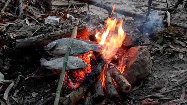 Saha koşullarında ateşte balık kızartmak. Yanan iki balık..