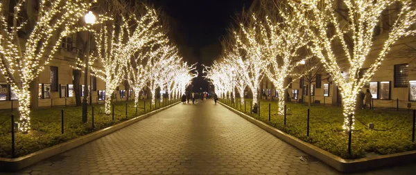 Bahar gecesi parkı. Ağaçlarda çelenkler.
