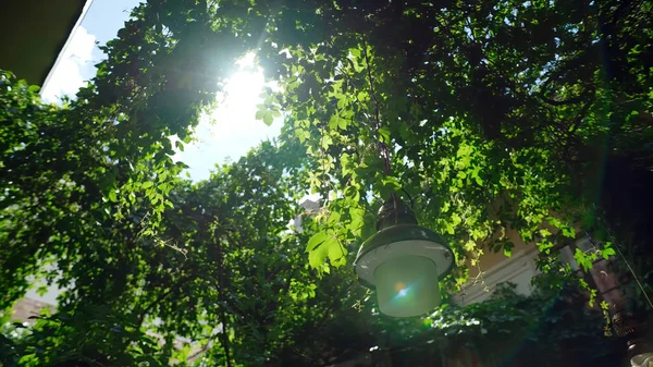 The spring sun breaks through the leaves of the trees. The photo was taken on the veranda and an old lamp hangs from the top.