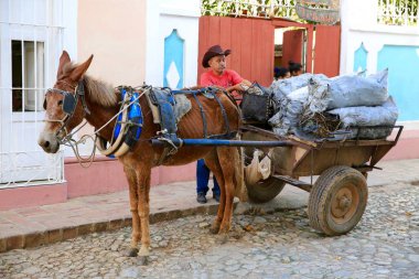 Küba'da işçi kömür teslim