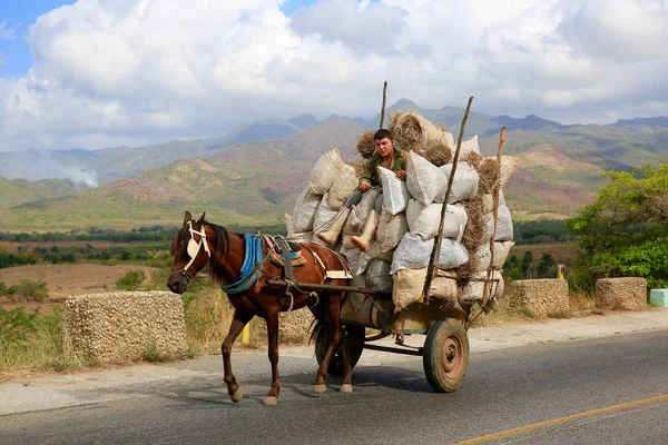 Rolnik i konia z ciężkich Wagonload, Kuba — Zdjęcie stockowe