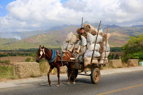 Farmer and Horse With Heavy Wagonload, Cuba
