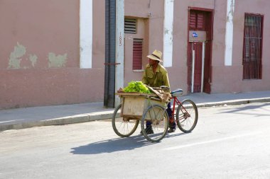 Sebze satıcı bisiklet, Küba yürüyüş