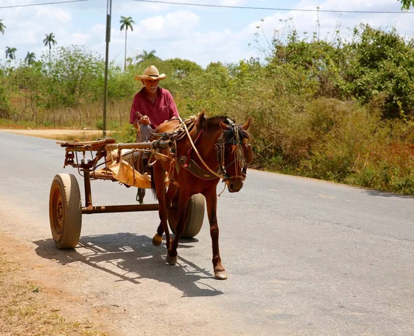 Agricultor dirige cavalo e vagão em Cuba — Fotografia de Stock