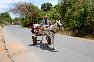 Çiftçi, at ve araba, Vinales, Küba