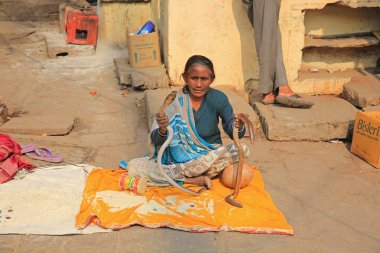 Kobra işleyicisi, Varanasi, Hindistan