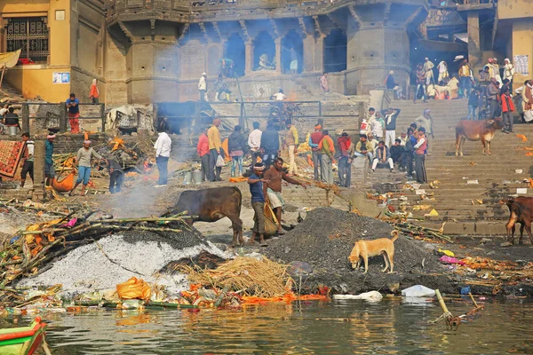 Cremation Fires Burn Ganges Riverbank Dogs Sift Mounds Ashes Stock Picture