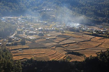 Sabah erken yangınlar yakınındaki pirinç Paddies, Bhutan