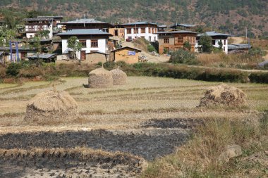 Saman yığınları, kırsal Bhutan