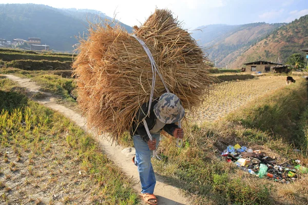 Agricultor carregando carga pesada no Butão, Fechar — Fotografia de Stock