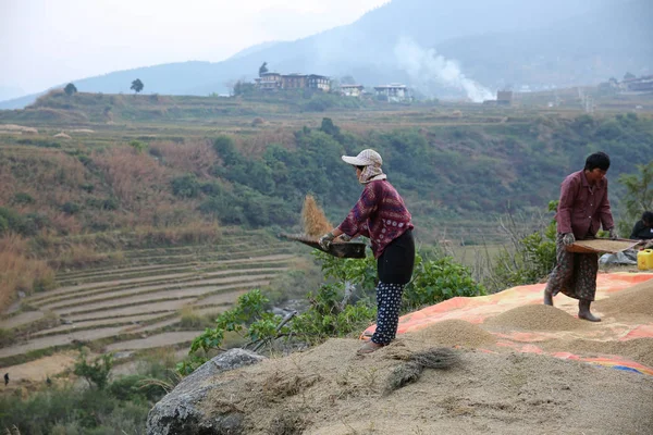 Nő Sifts gabona vidéki Bhutánban — Stock Fotó