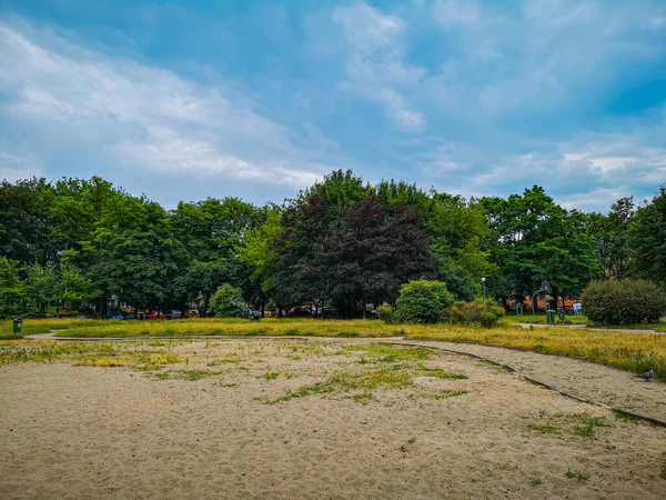 과푸른 나무들 이자라는 모래로 뒤덮인 — 스톡 사진