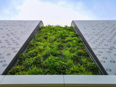 Wroclaw City 'deki modern bina duvarının önünde gömülü güzel yeşil bahçe