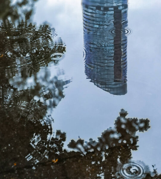 Peak of skyscraper and tree crown reflecting in puddle at rainy day
